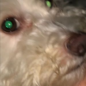 Meet your Posher, Leah